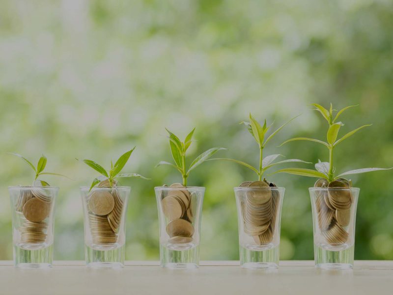 Coin on wooden table in front of green bokeh background. coins a concept of investment and saving moneys.